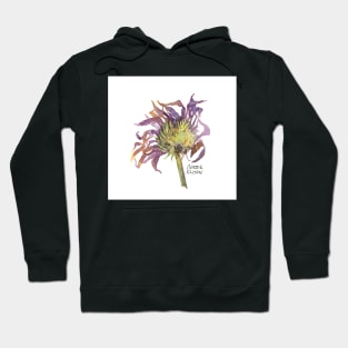 Coneflower Hoodie